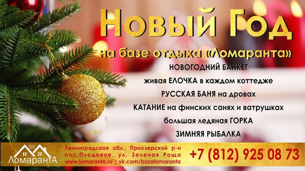 Новый год 2018 раннее бронирование пансионаты базы отдыха белоруссии Новый год 2018 раннее бронирование пансионаты базы отдыха белоруссии
