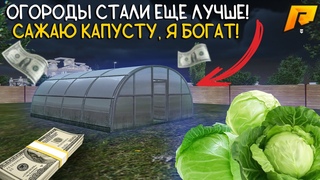 ОГОРОДЫ СТАЛИ ЕЩЕ ЛУЧШЕ! САЖАЮ КАПУСТУ И ЛУТАЮ ДЕНЬГИ | СДАЛ ОГОРОДЫ В АРЕНДУ | Radmir / Hassle