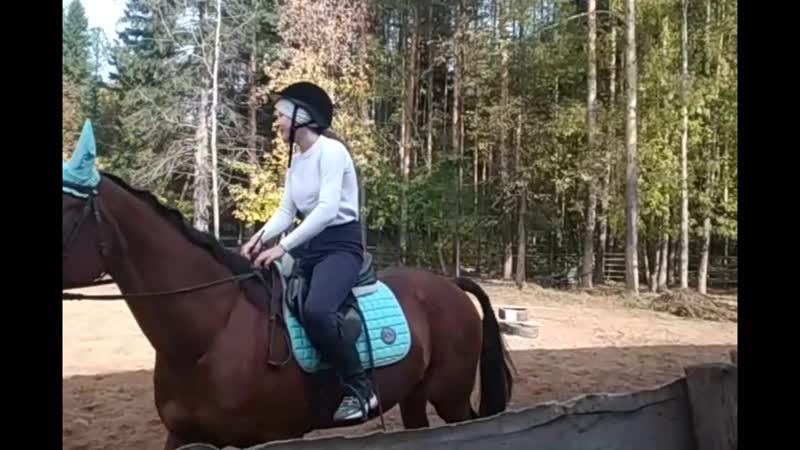 КОНКУР, высота планки от 70 до 40 см. + совсем юные