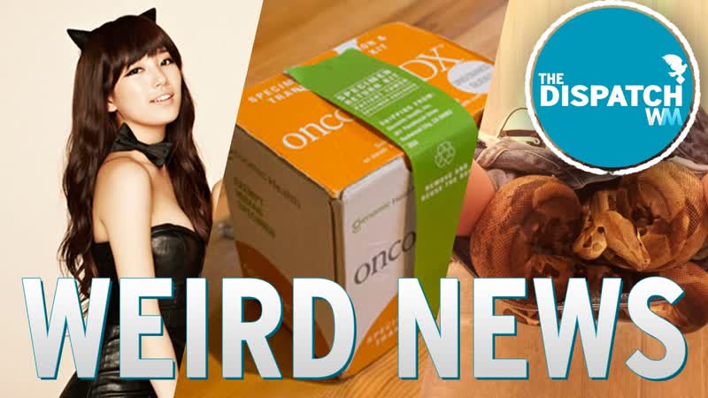 Weaponized K Pop, Trouser Snakes Tumor Mail: The Dispatch Ep.