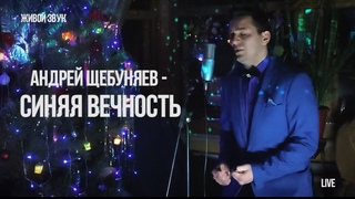 Живое исполнение у новогодней ёлки Андрей Щебуняев   Синяя вечность песня Муслима Магомаева