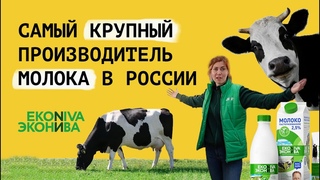 ВидеоОбзор технологических процессов на молочной ферме ГК ЭКОНИВА