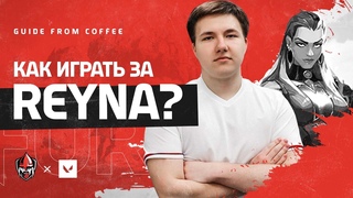 ГАЙД на REYNA от COFFEE -