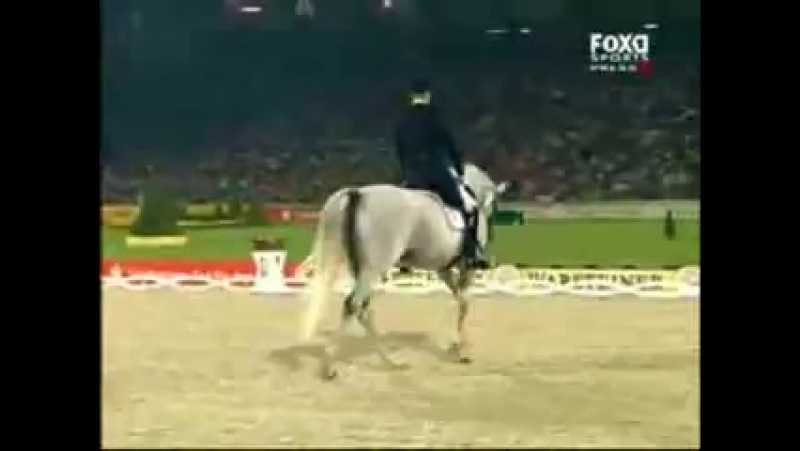 КЮР, Blue Horse Matine(выездка под ХИП