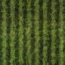 Spring field 02 spline