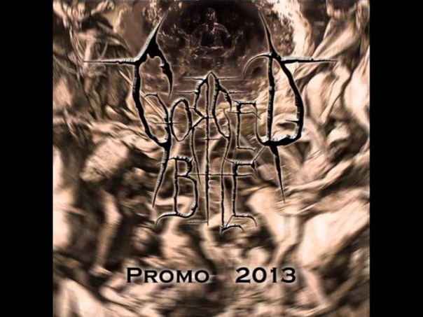 Gorged Bile Absterged From Hominal Patterns Promo
