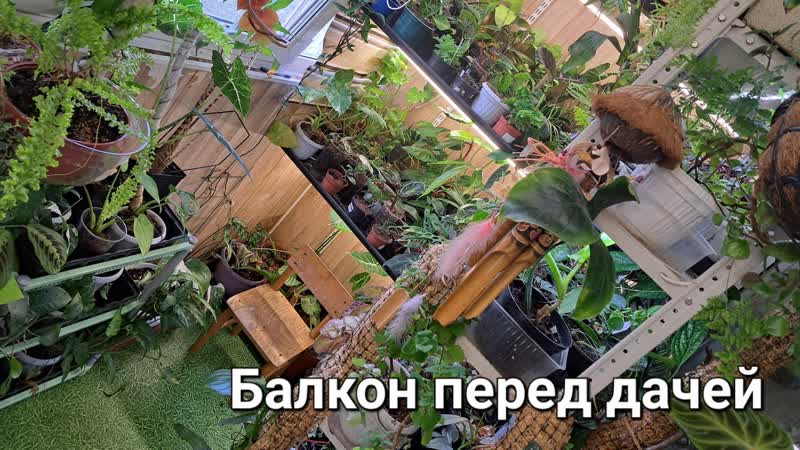 Обзор