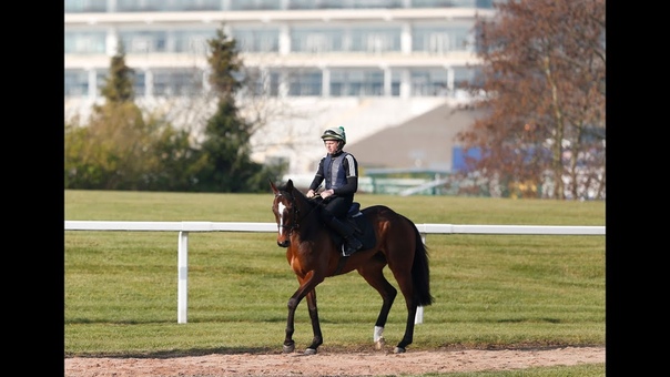 Min Moscow Flyer Novice Hurdle ( Grade 2)