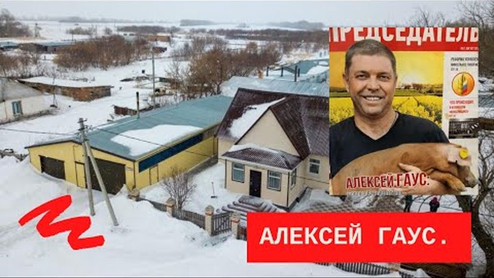 Свиноферма Алексей Гаус, отгрузка свинок, показываем как
