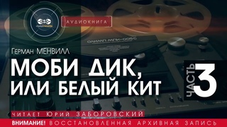 Моби Дик, или Белый Кит - ЧАСТЬ 3 - Герман Мелвилл (читает Евгений Терновский) | аудиокнига