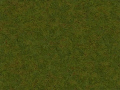 VSZD grass main-2 (autumn ver.3)