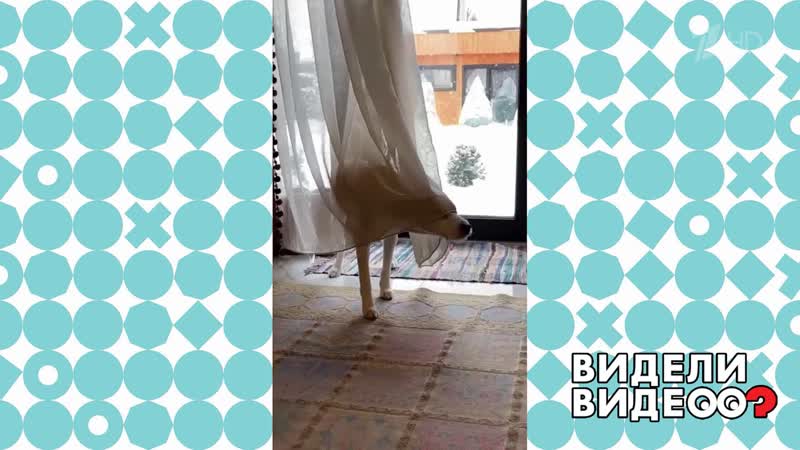 Ну очень симпатичное привидение. Видели видео Фрагмент