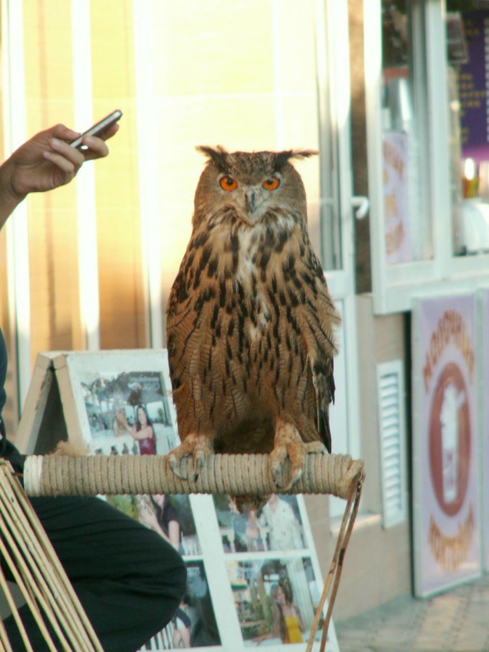 Димка Ищенко uriq | Энгельс