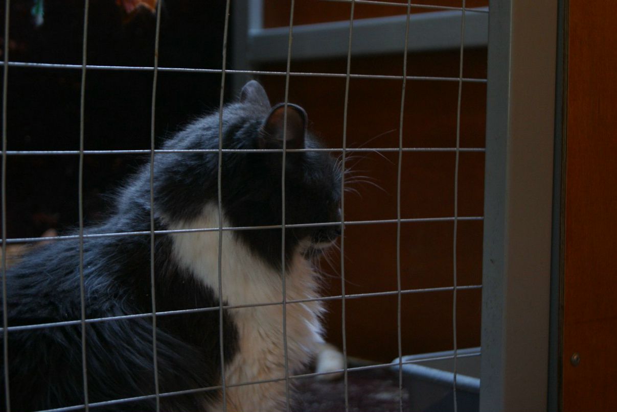 Александр Ярица {Alex} | Москва