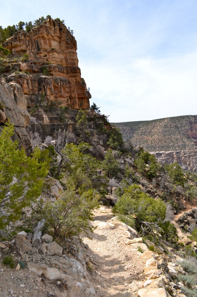 Наталья Корицкая | San Francisco