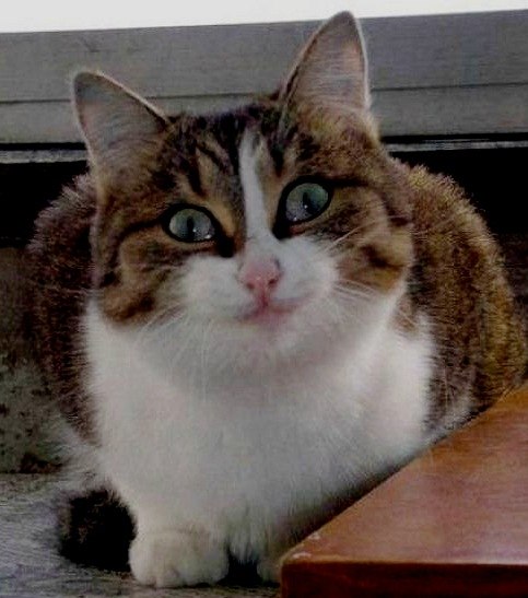 Светлана Найденкова serggevna | Екатеринбург