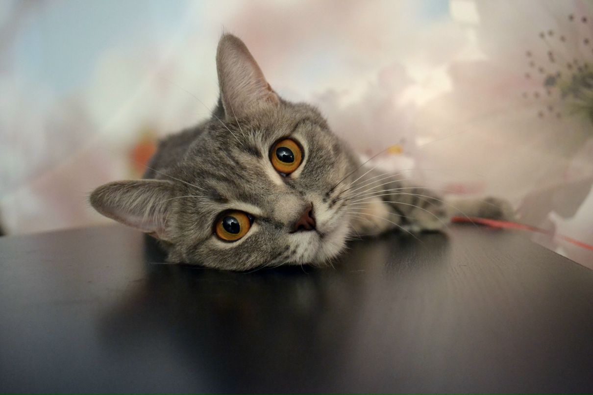 Екатерина Безрукова | Стерлитамак