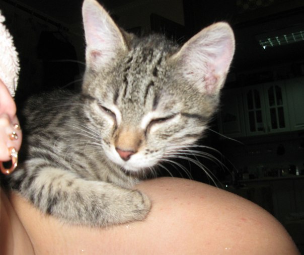 №5, Наталья Немцева, Омск №5, Наталья Немцева, Омск