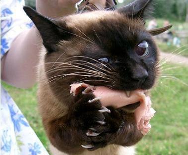 Анна Харитонова | Оссора