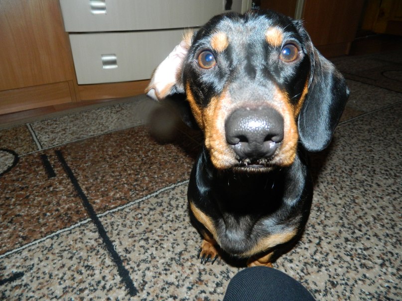 Алексей Книга | Херсон