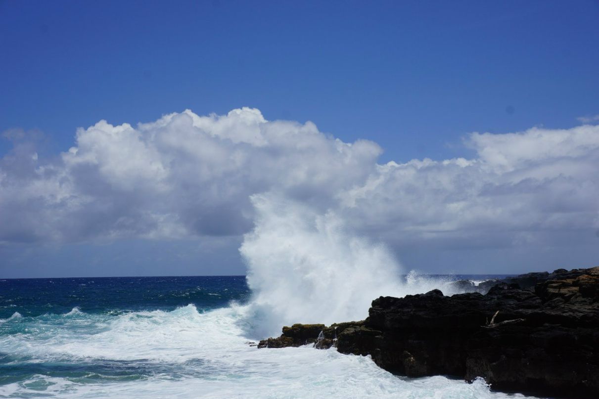 Татьяна Саркисян | San Jose