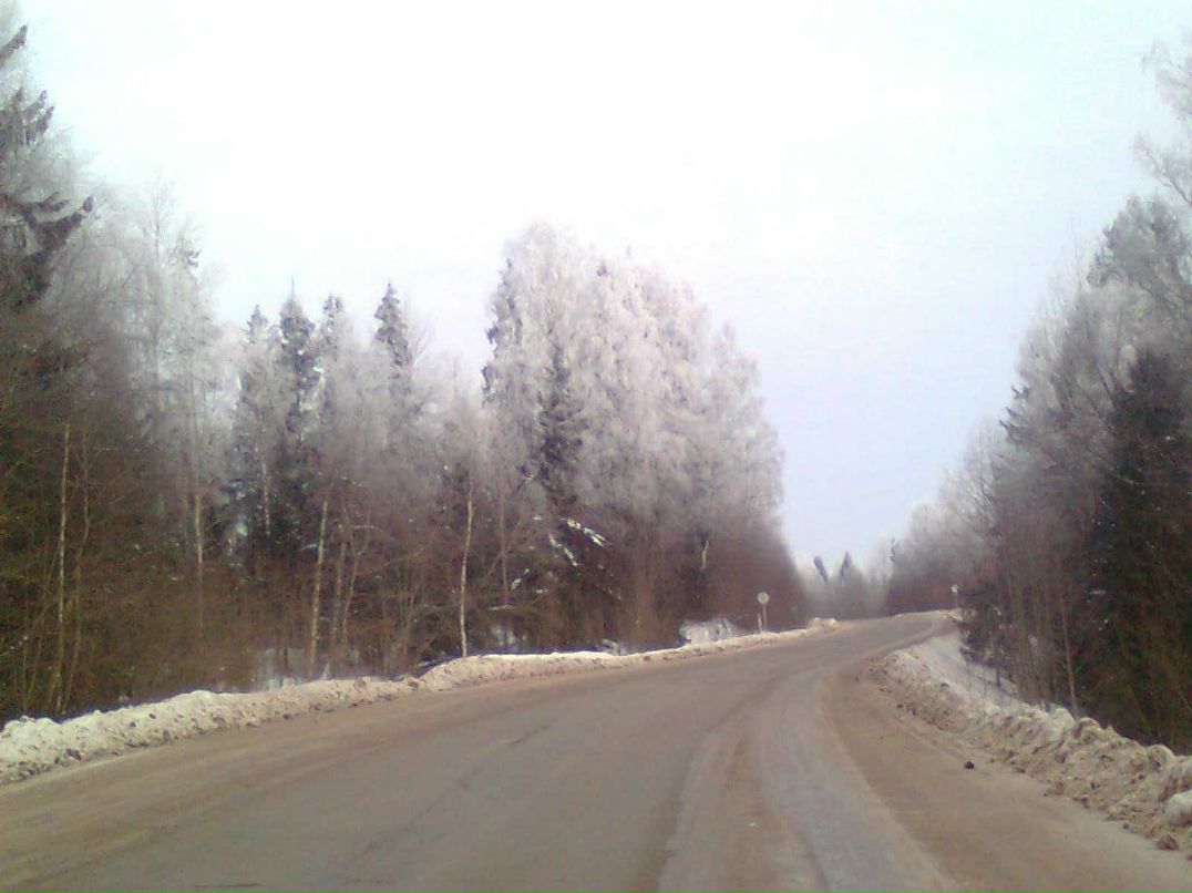 Алекс Жаров & Алекс | Бокситогорск