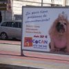 Аватар: Василинка Даст