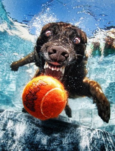 Алексей Бобров | 