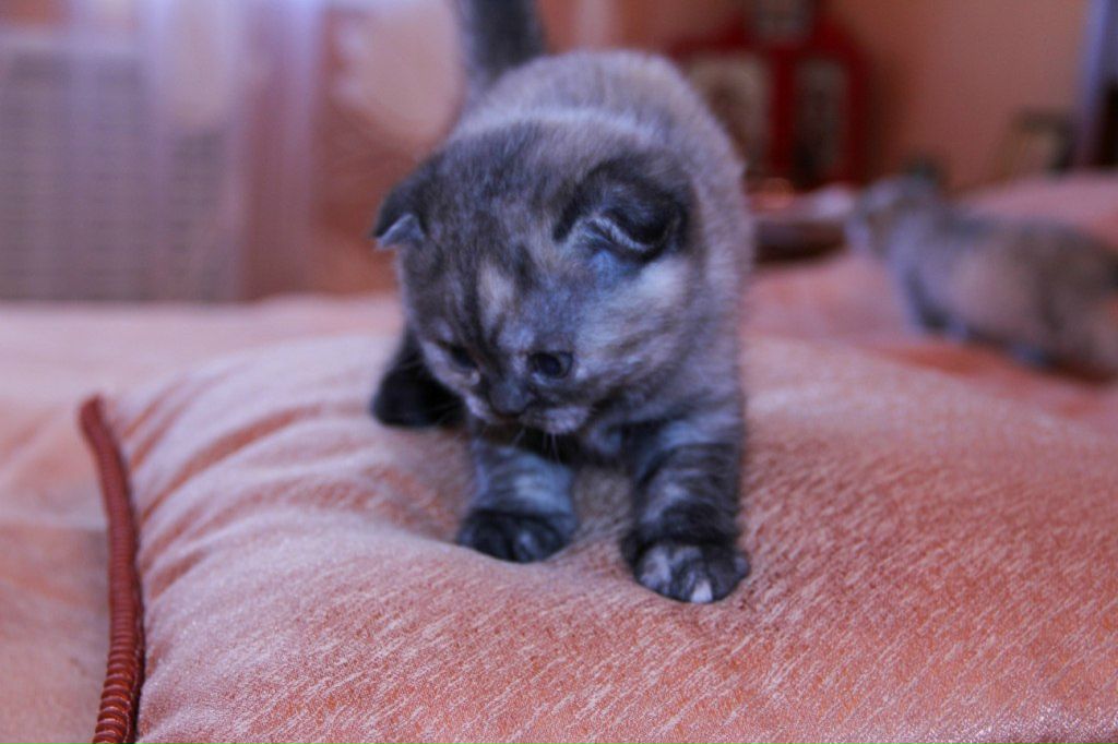 Женя Литвинов | Сургут