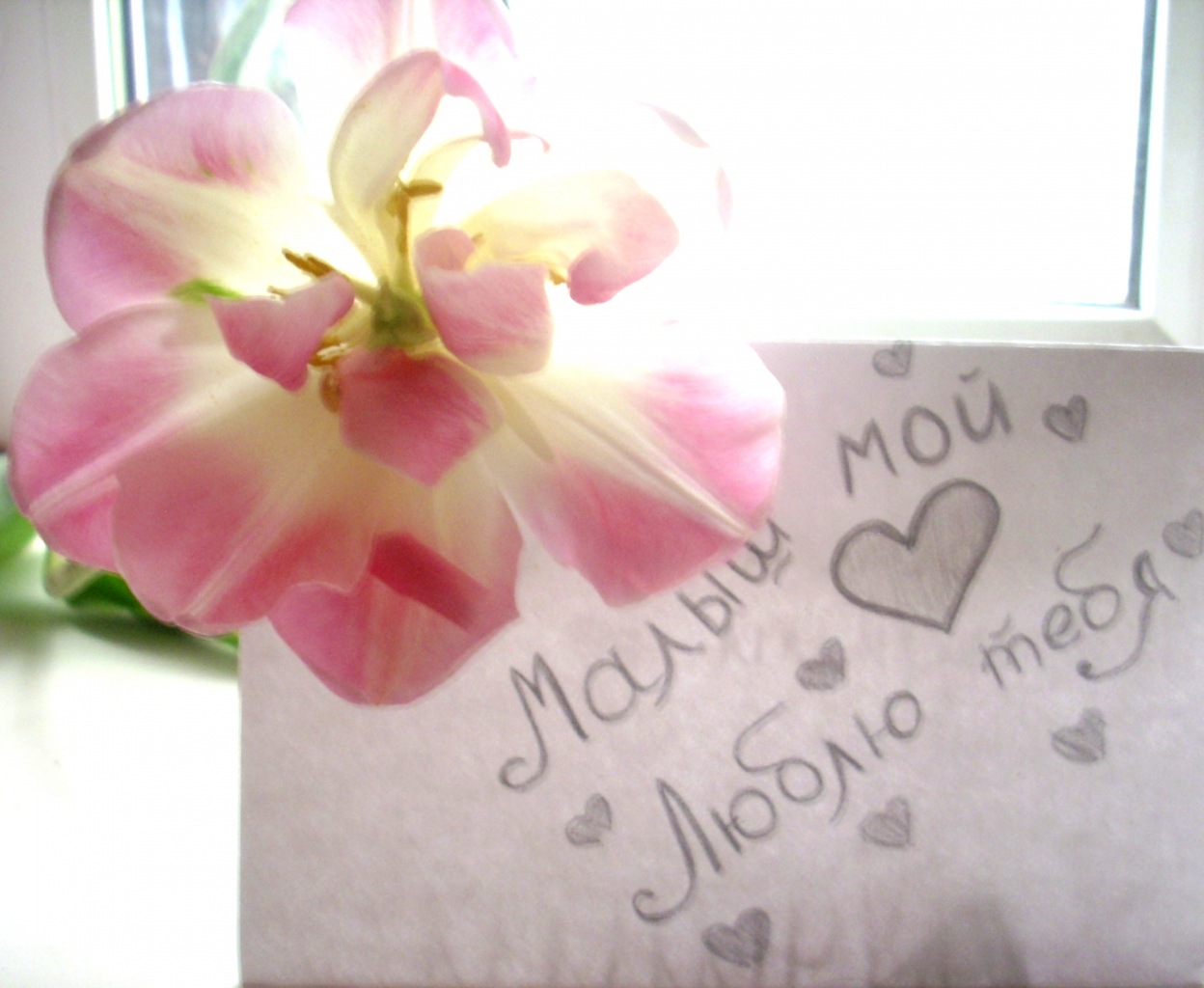 Фото профиля