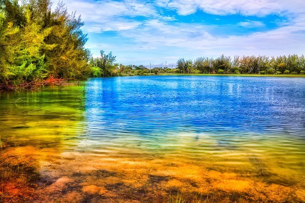 Dmitry Semerikov -‘๑’- | Вологда