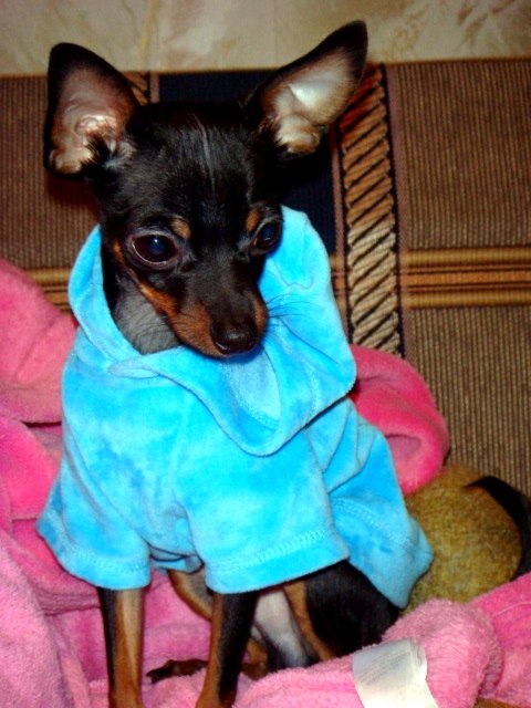 Марго Кавал | Рига