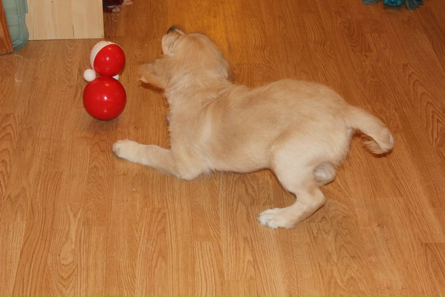 №10, Ирина Валькова, 14 лет, Санкт-Петербург №10, Ирина Валькова, 14 лет, Санкт-Петербург