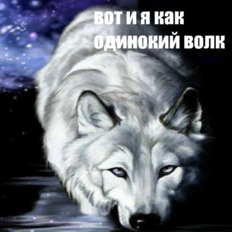 Тарас Марко | Ивано-Франковск