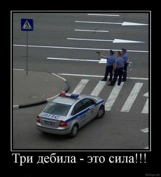 Илья Бортник | Пласт