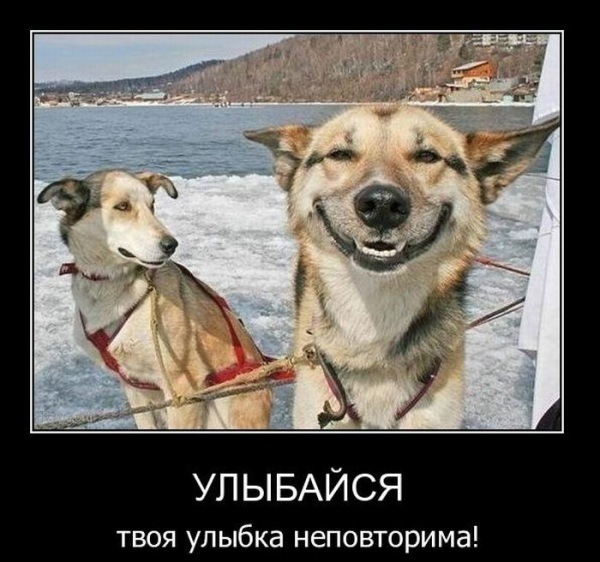 №95, Валерий Волков, 39 лет, Екатеринбург №95, Валерий Волков, 39 лет, Екатеринбург