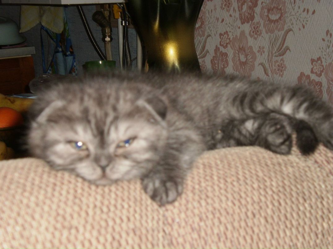 Лидия Барынина | Москва