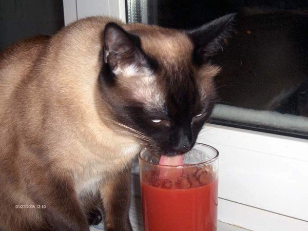 Надежда Дмитриева Марго | Санкт-Петербург