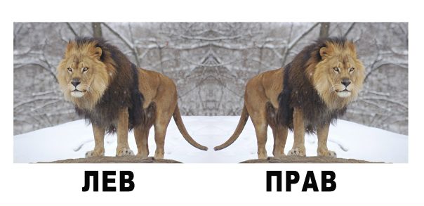 №101, Александр Абрашин, Ставрополь №101, Александр Абрашин, Ставрополь