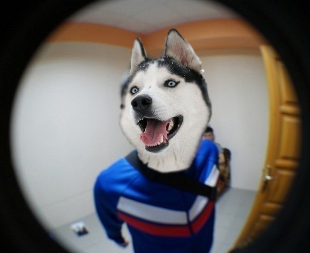 Виталий Марков | Санкт-Петербург