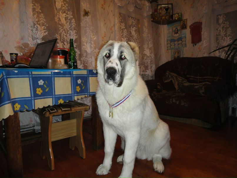 Наташа Копылова | Ногинск