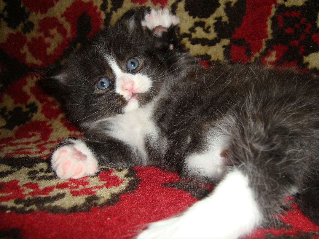 Наташулька Романова | Подольск