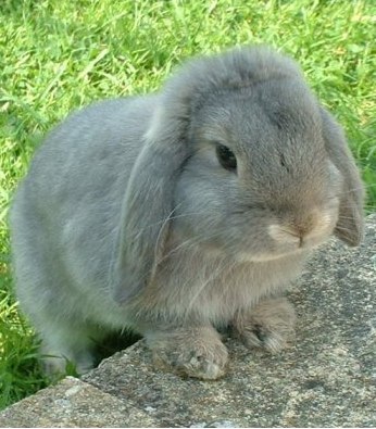 Оля Каминская | Чита