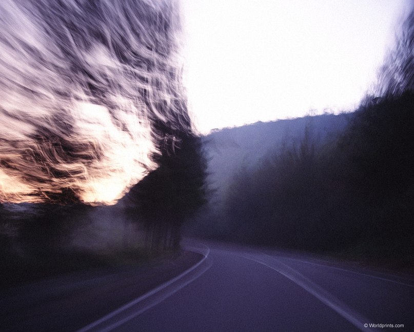 Вітя Яблонський | Львов