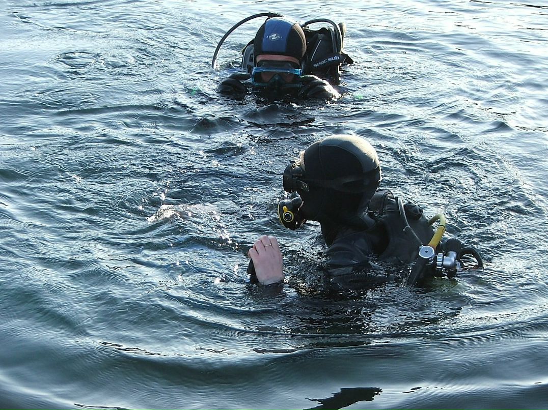 Денис Максименко | 