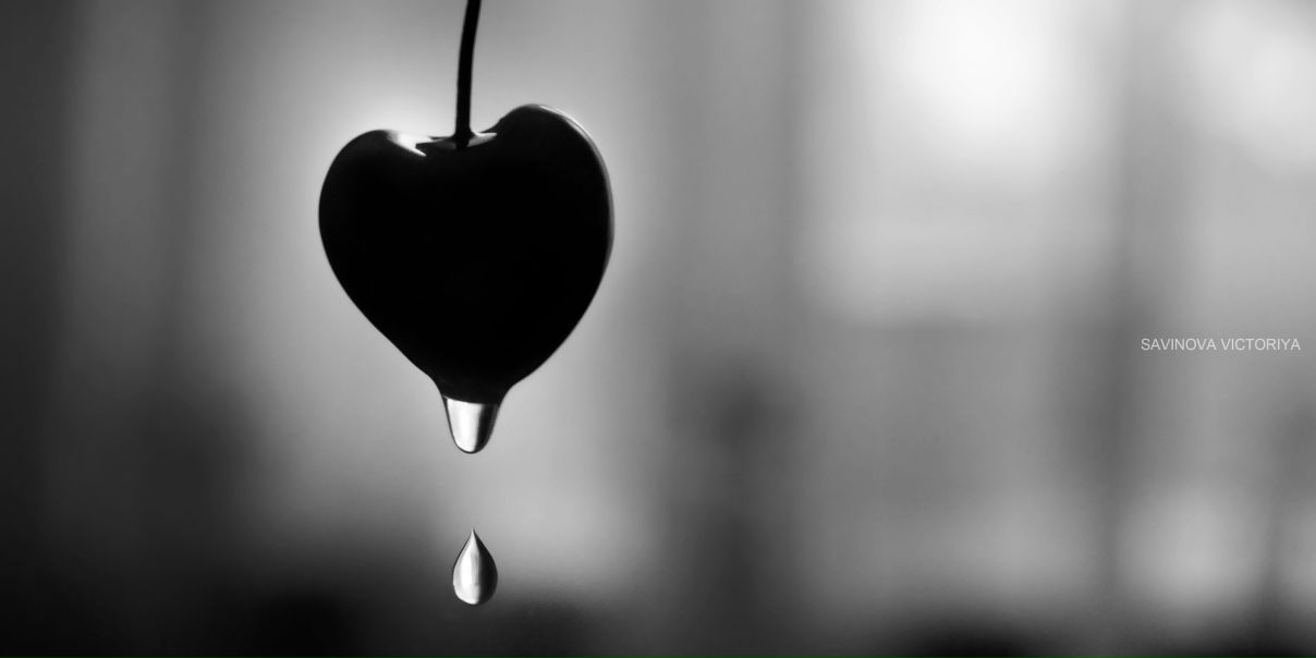 №115, Виктория , Москва, Россия №115, Виктория , Москва, Россия