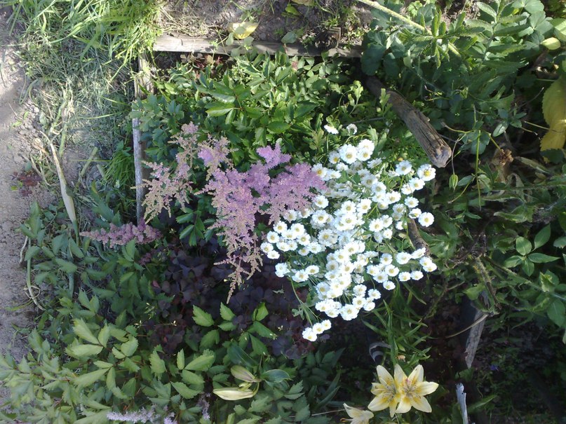 Алексей Яковлев | Москва