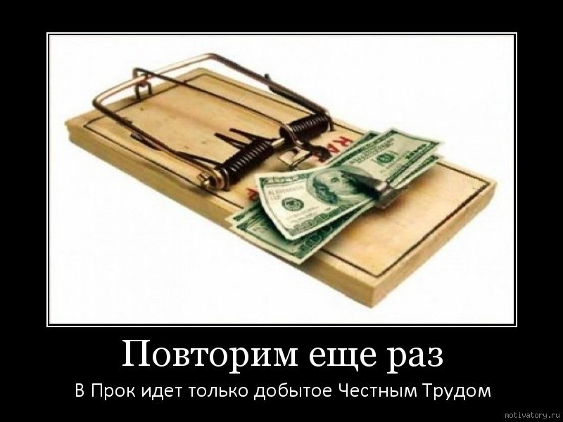 Капитан Очевидность | Волгоград