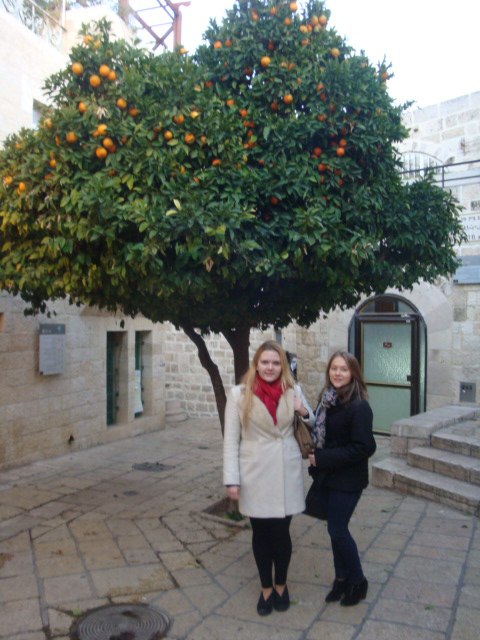 Юлия Мельник | Киев