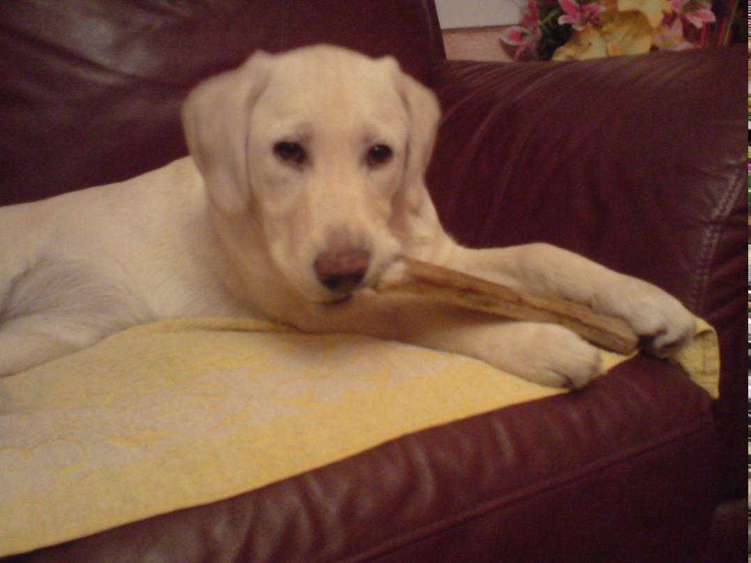 Elena Solomonova | Беэр Шева